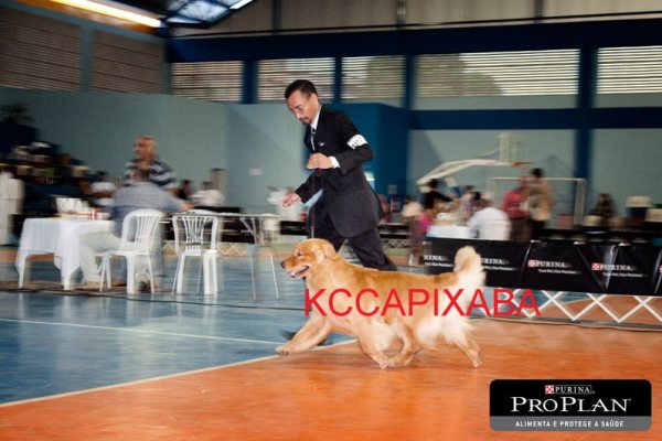 Clique sobre a foto para fechar